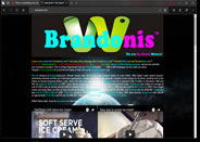 brandonis.com